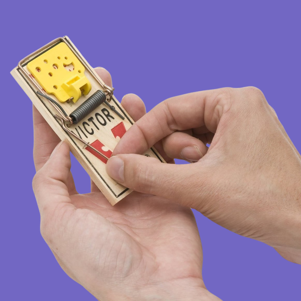 Easy Set Mouse Traps, 2-Pack, - (4 count )