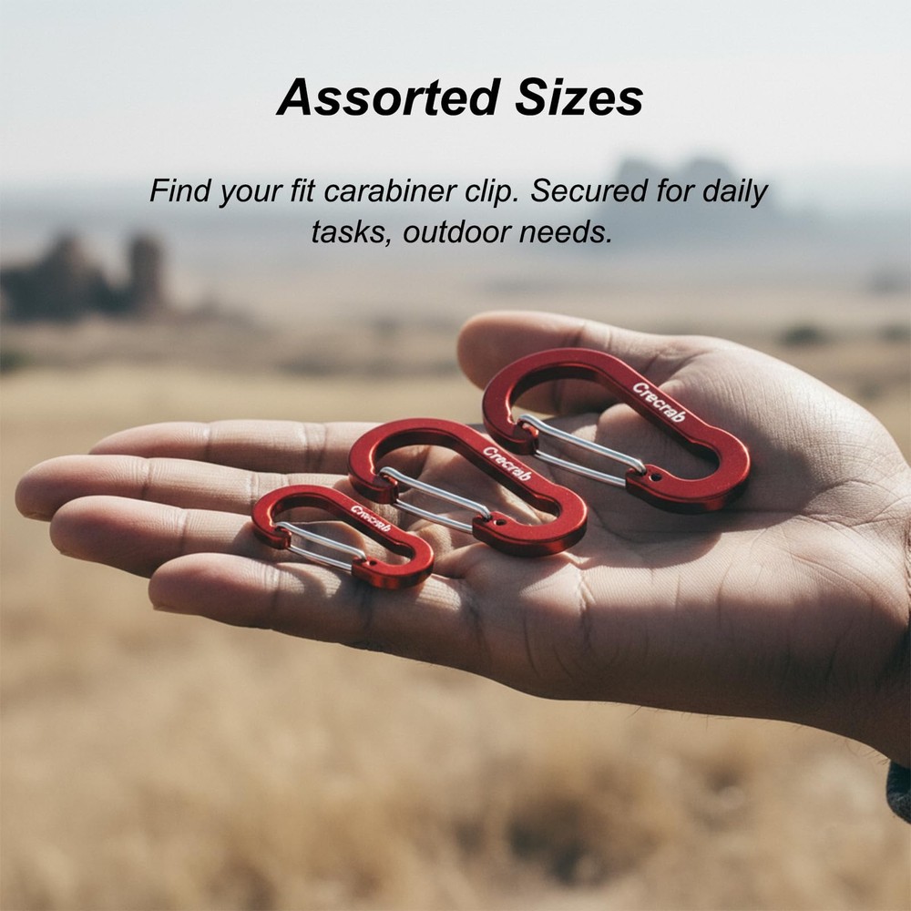 12Pcs Carabiner Small (2"), Medium (2.4"), Large (2.8"), Multiple Colors