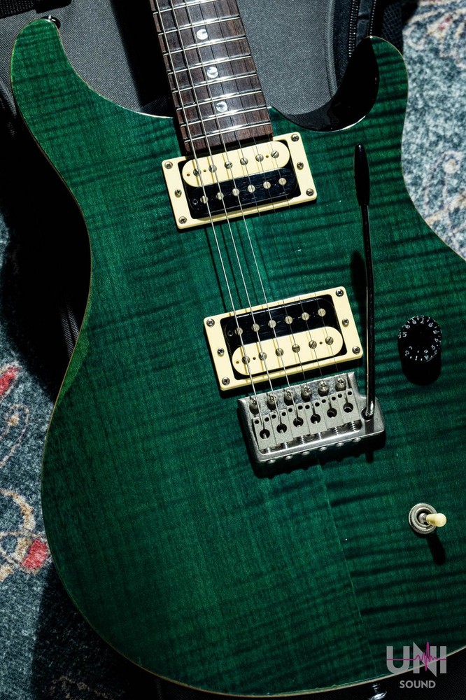 Paul Reed Smith (PRS) SE Custom / 2008 (no260422)
