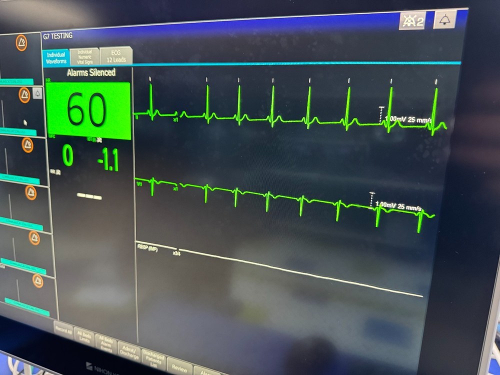 BC BIOMEDICAL REF PS-2006 Patient Simulator
