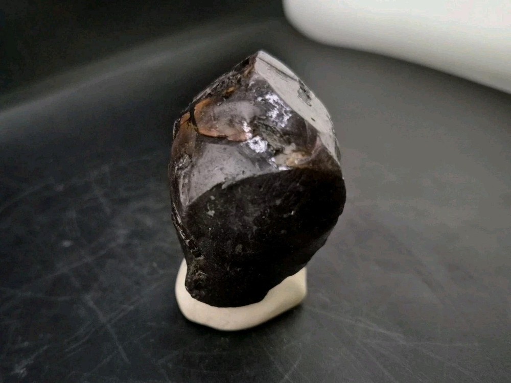 Real Fossil Dinosaur Egg Opalized