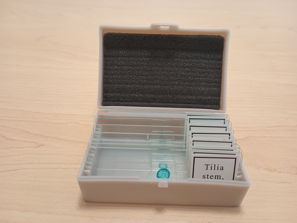 8 Prepared Microscope Slides, Microbiology Learning