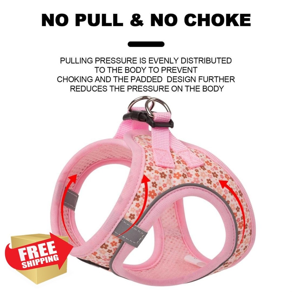 PINA No Pull Dog Harness Leash Set Small Medium Breathable Mesh