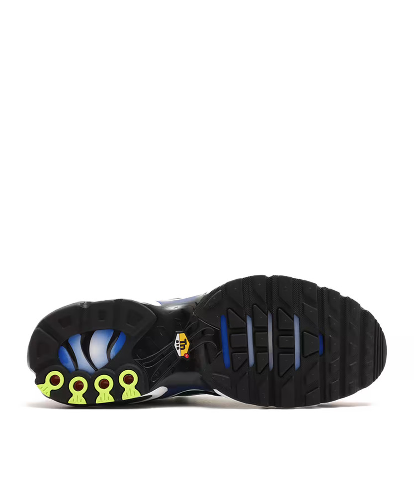 IH4458-001 Nike Air Max Plus Heat Map (Men's)