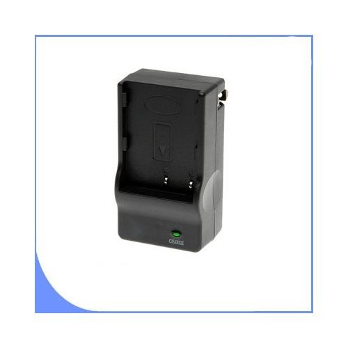 BigVALUEInc BP-819 Replacement Battery/Rapid Charger 4GB SD Filter Kit Bundle...