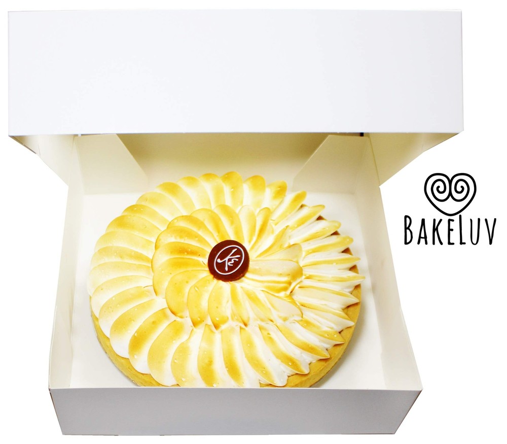 White Pie Boxes with Window 9x9x2.5 Inch 12 Pack Auto Pop Up Design