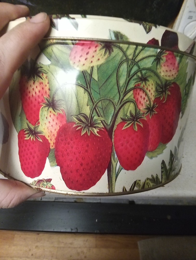 Dept 56 Berry Tin