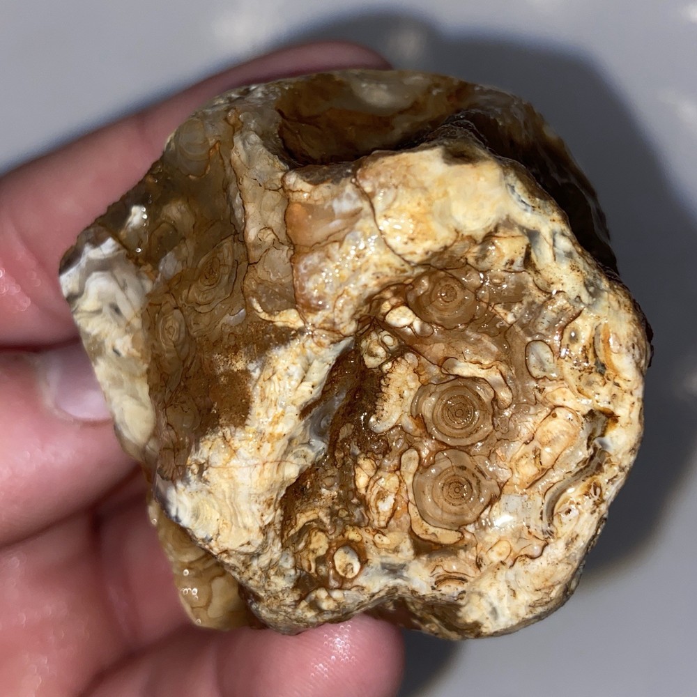 Gobi Agate Raw Rough Or Specimen 4.89 Oz