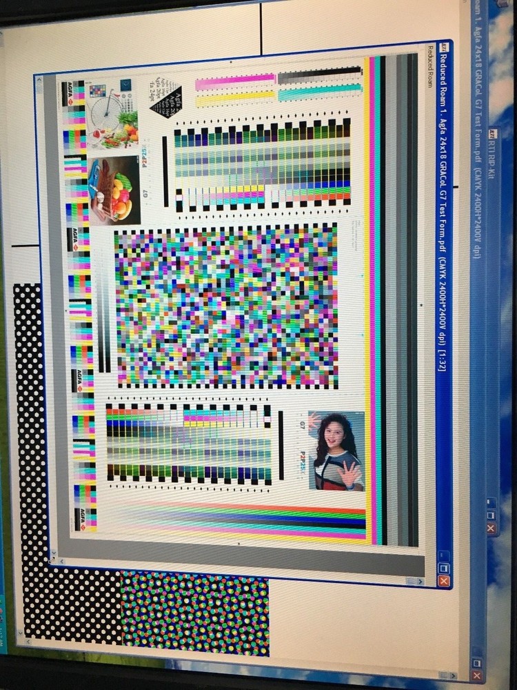 AGFA RTI Rip on Dell 3000 6.3