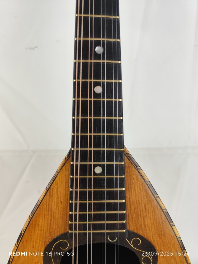 Mandolin 4/4 Giuseppe Cesolari 1930 Rome 曼陀林 만돌린マンドリン