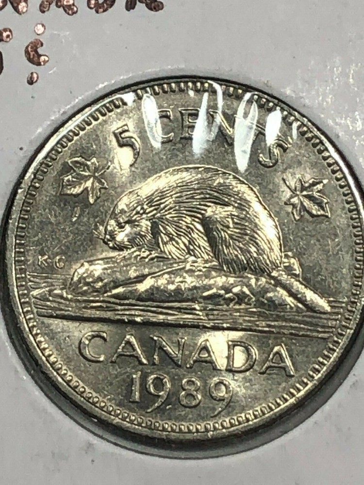 1989  Canada 5 Cent Coin #0915