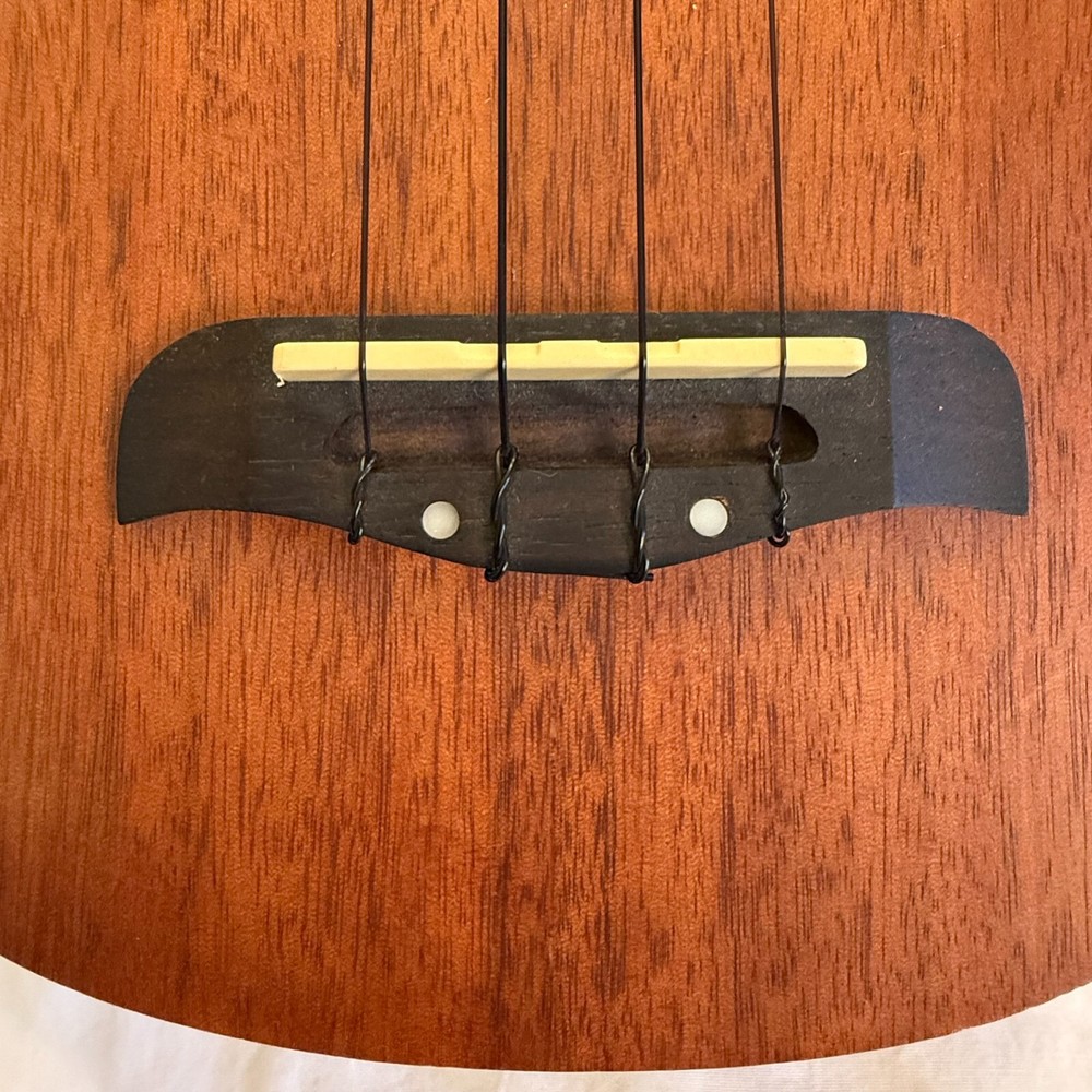 Oskar Schmidt By Washburn Ukulele OU2