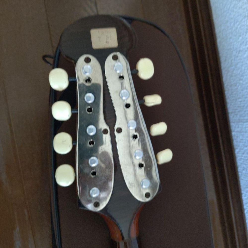 Colored Chemandolin 8 strings