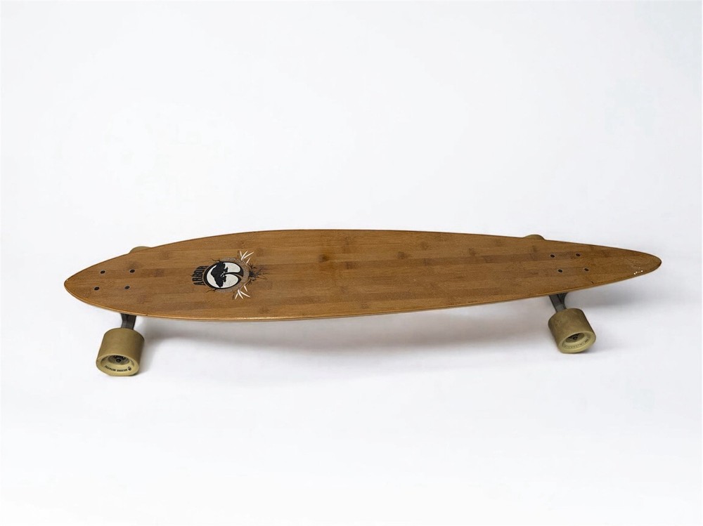 Arbor Fish Bamboo 45 Inch Complete Longboard