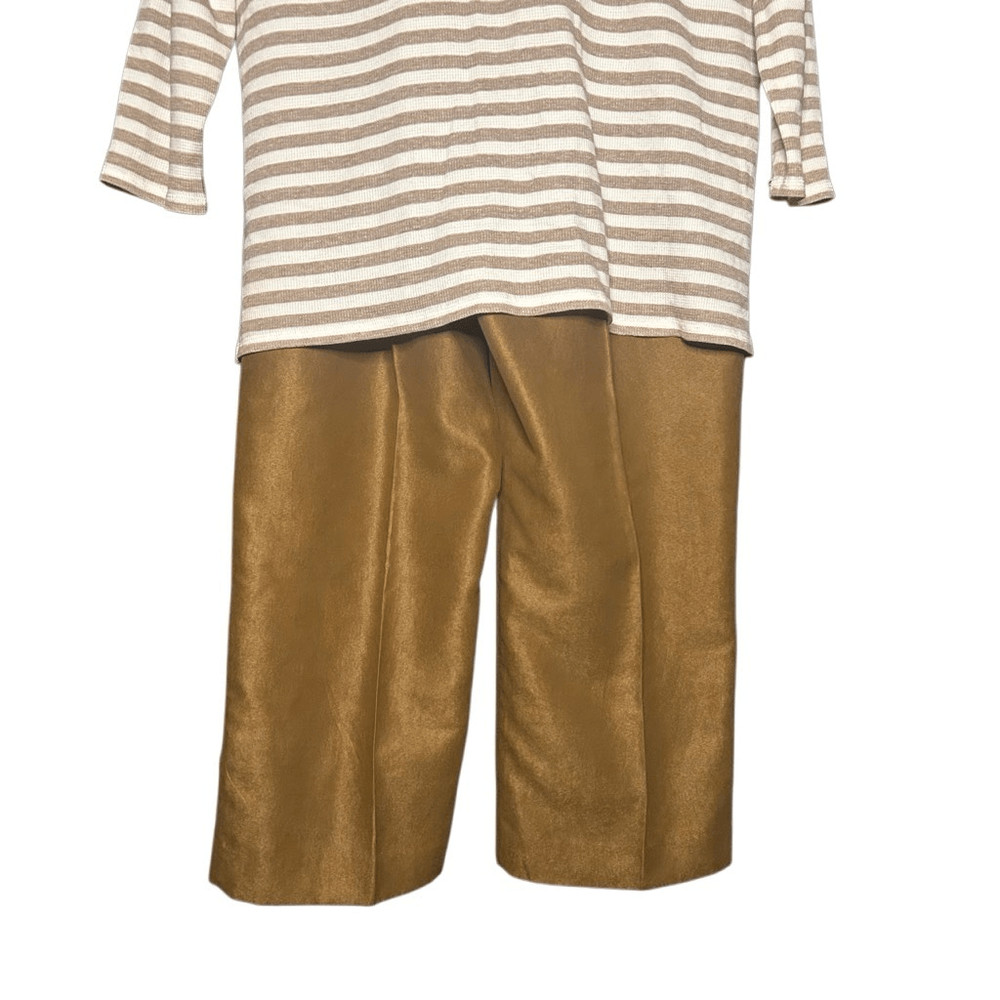 Ruby Rd. Brown Long Sleeve Striped Tunic Size L & Pull On Ankle Pants Size 14P