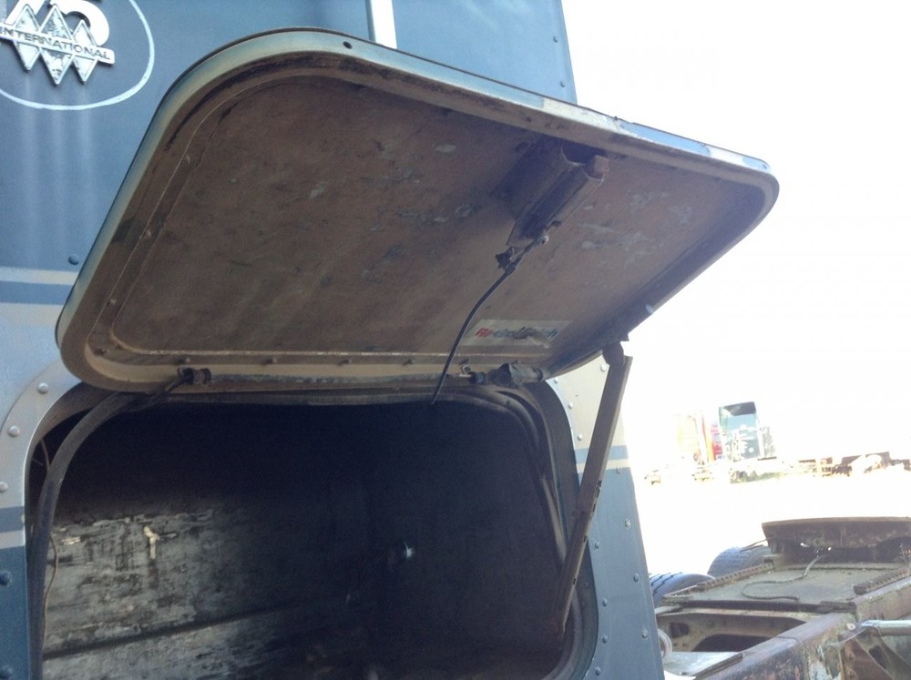 International 9670 Left/Driver Sleeper Door - Used