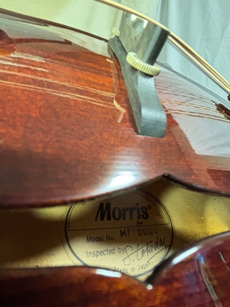[Rare] Morris MF-2000/Flat Mandolin