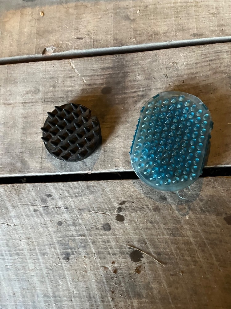Set of Grooming curry combs