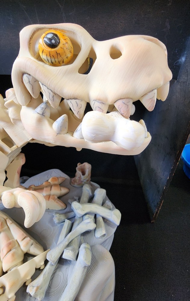 Hand painted 3D Painted 12 inch tall T-Rex Skeleton