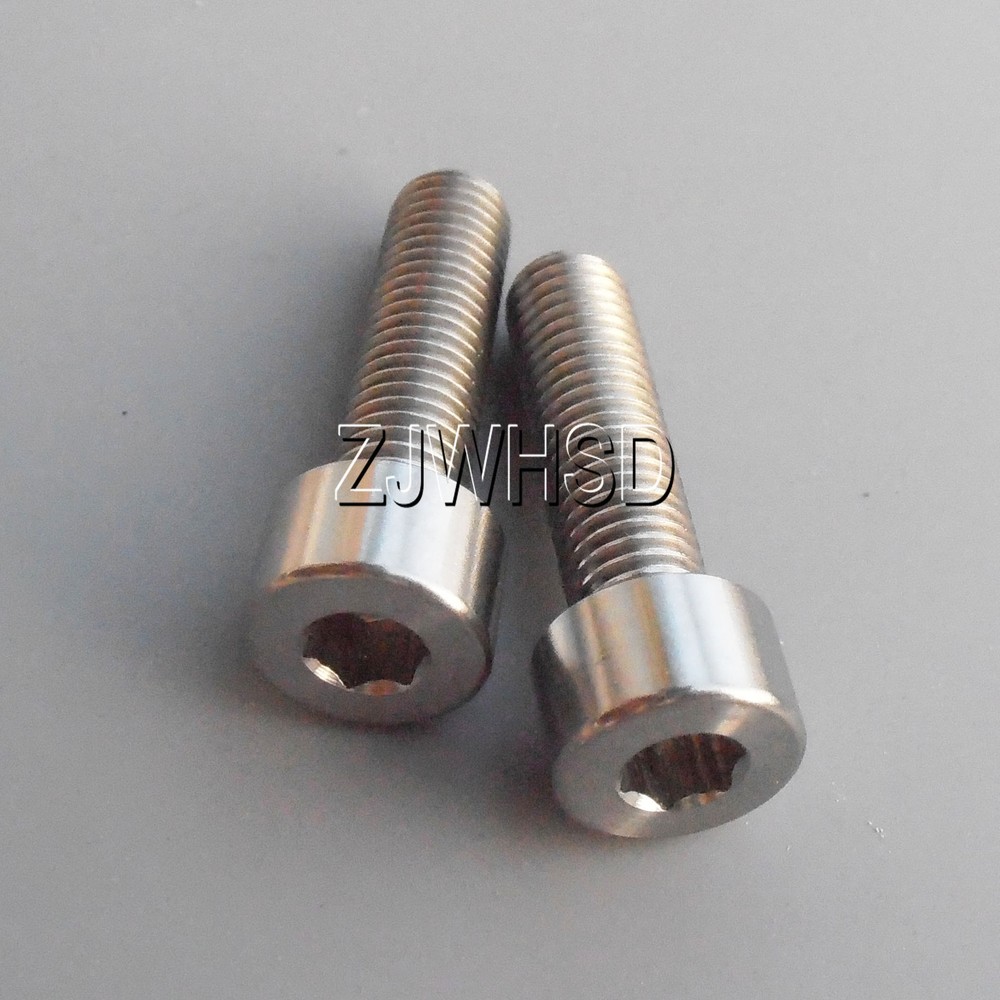 2pcs M7 x 25 mm Titanium Ti Screw Bolt Allen Hex Socket Cap Head