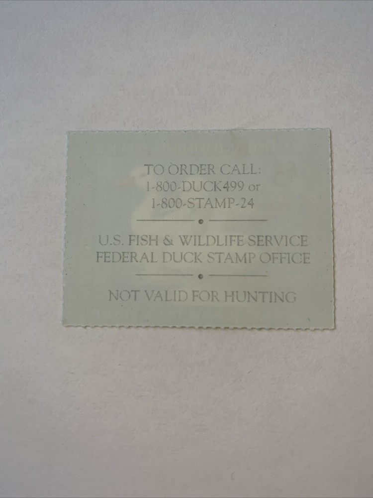 JDS24 - 2016 Junior Duck Stamp, MNHOG. 4