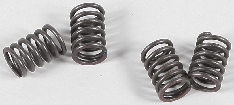 Ebc Clutch Springs Csk48 Clutch