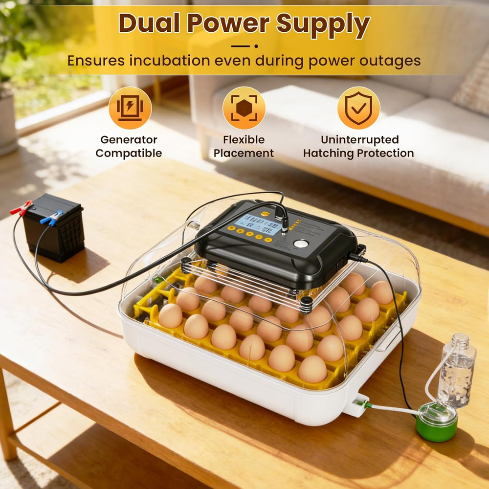 Incubators for Hatching Eggs, 30 Chicken Eggs Incubator with Automatic Egg Turni