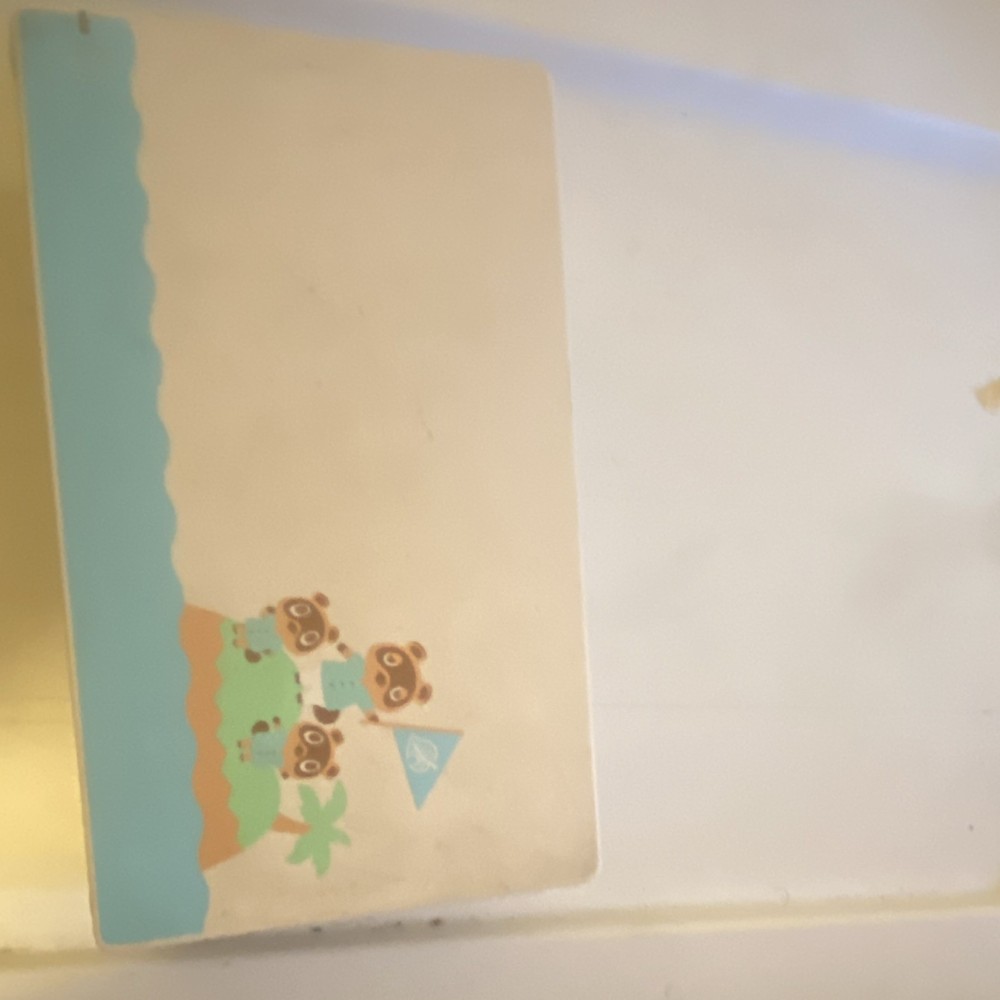 Nintendo Switch Animal Crossing Edition Console Bundle with Dock & Controllers