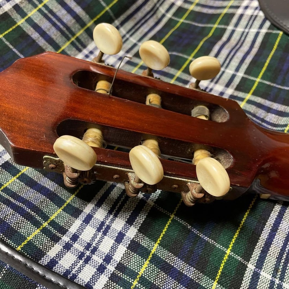 Hashimoto Gut Guitar No232