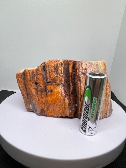 Petrified Wood - Crystal Meditation #3