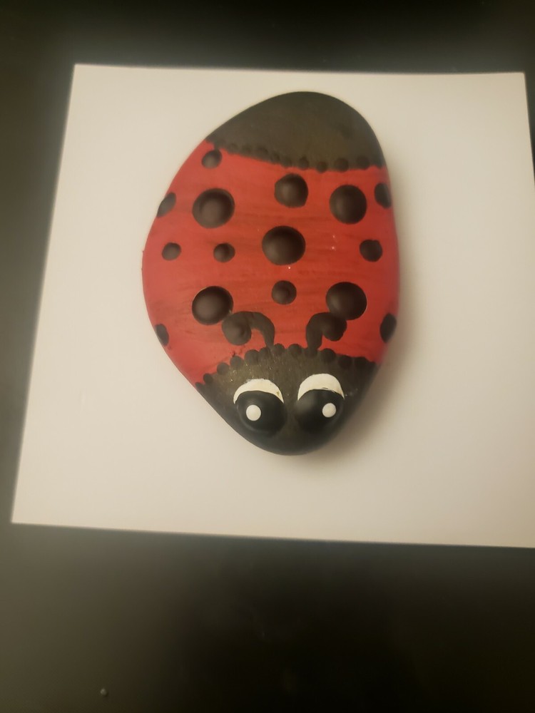 Ladybug painted mandala rock art