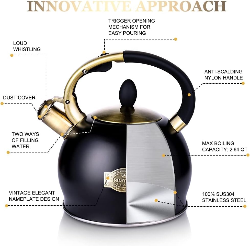 Grade Stainless Steel Teakettle Teapot with Cool Touch Ergonomic Handle