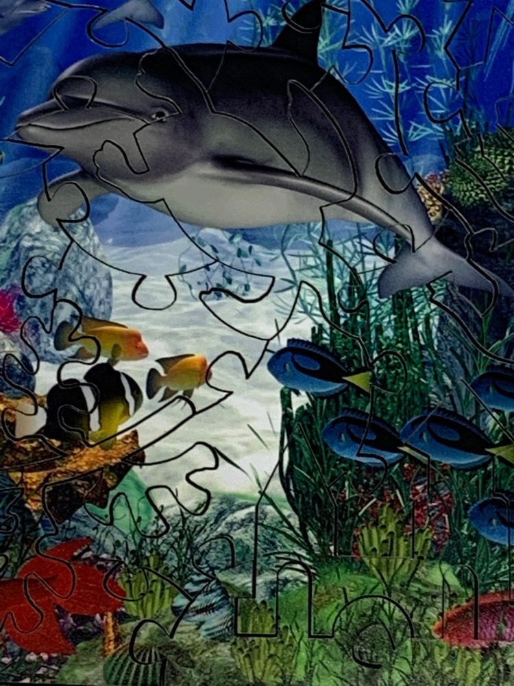 Dolphin Reef (49 Piece Mini Wooden Jigsaw Puzzle)