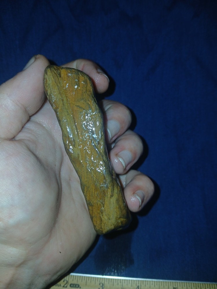 7.1 oz Petrified Wood