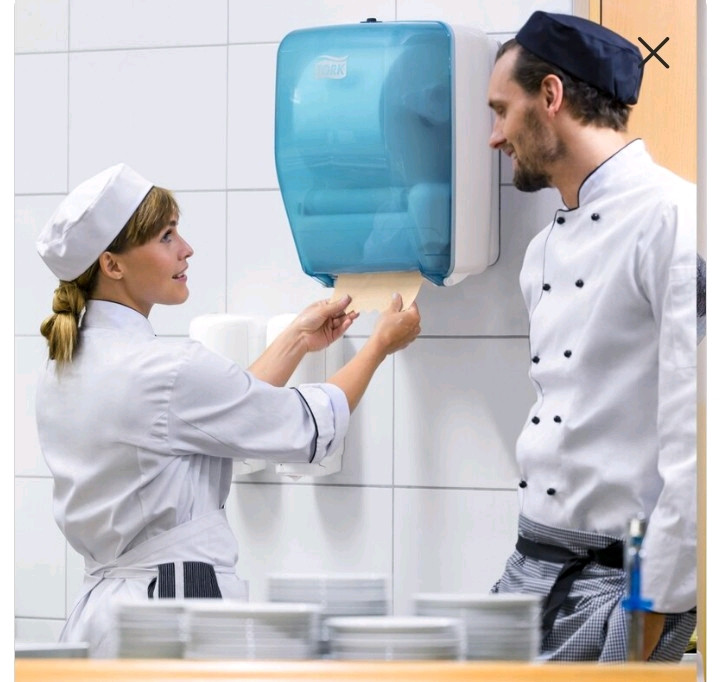 Paper Towel Dispenser