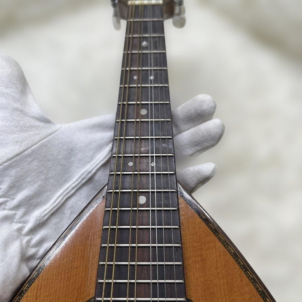SUZUKI Mandolin M-218 1974