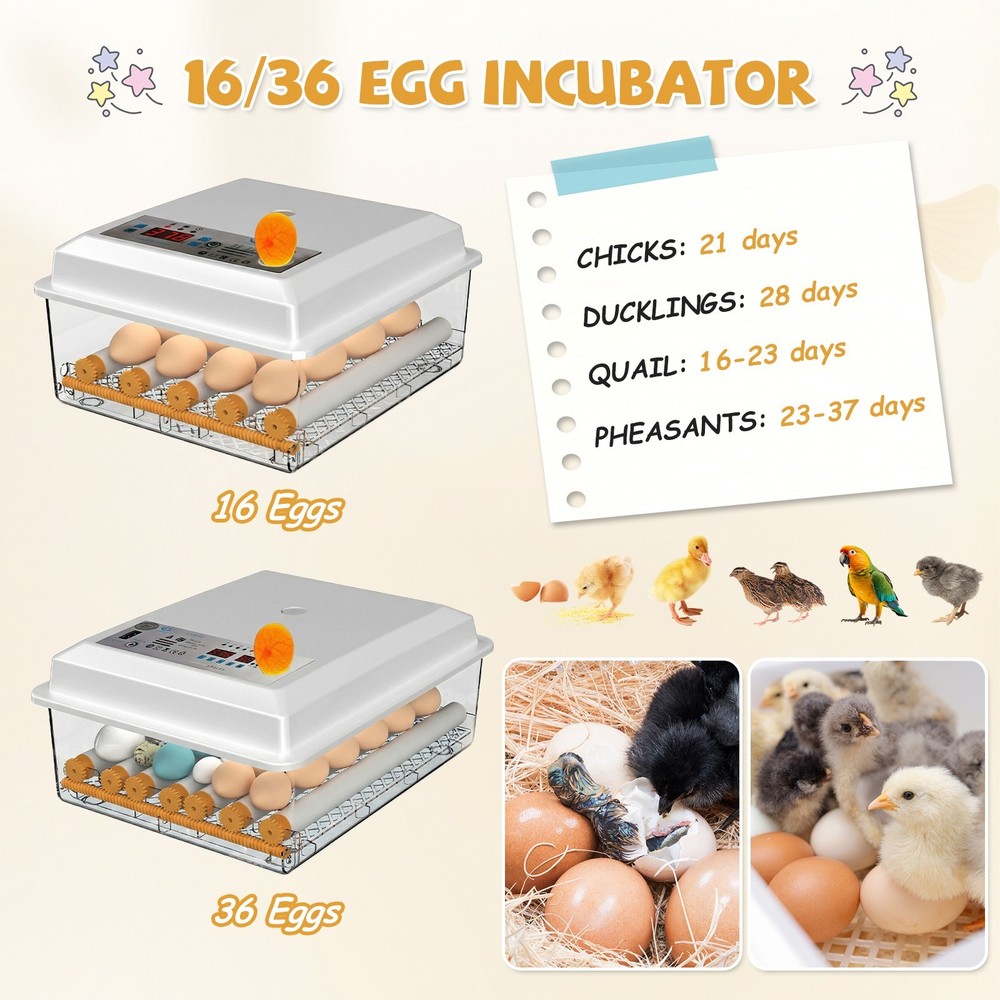 16/36 Eggs Incubators for Hatching Eggs with Automatic Egg Turning Egg Candler