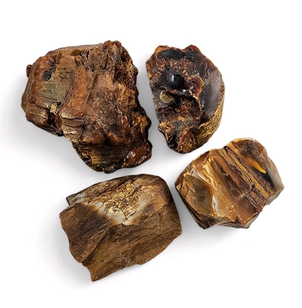 Opalized Petrified Wood Rough Pieces 130.4 grams.