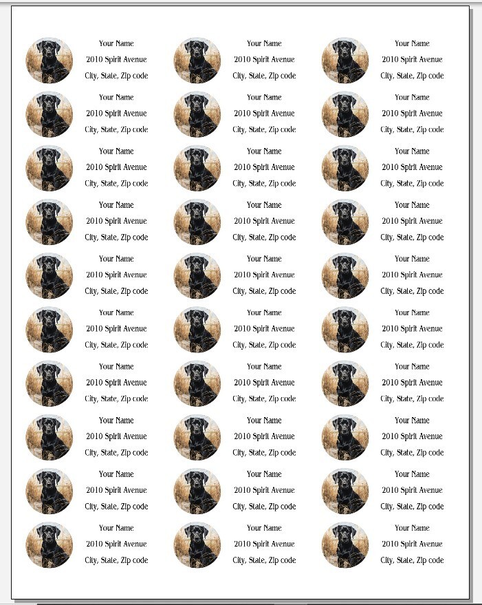 150 Black Labrador Lab Beach Grass Return Address Labels Personalized
