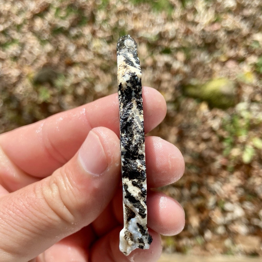 Medicine Bow Dendritic Agate Rough Slab