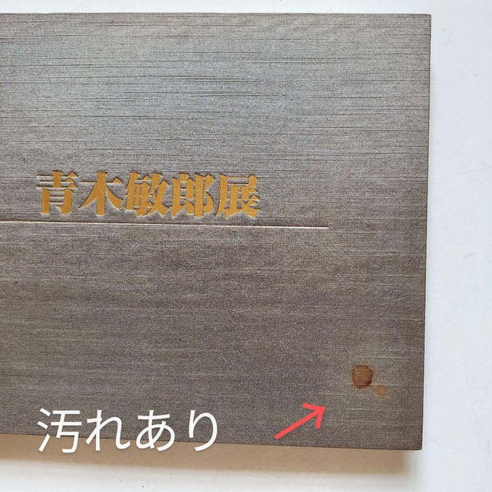 Exhibition Catalog Toshiro Aoki 1987