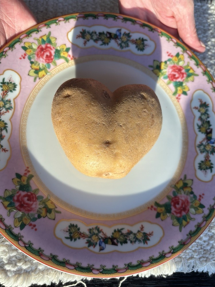 Heart Shaped Potato