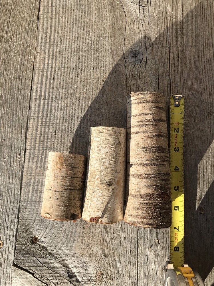 Birch Log Triptych, White Birch Logs, 3-7 Inches Long
