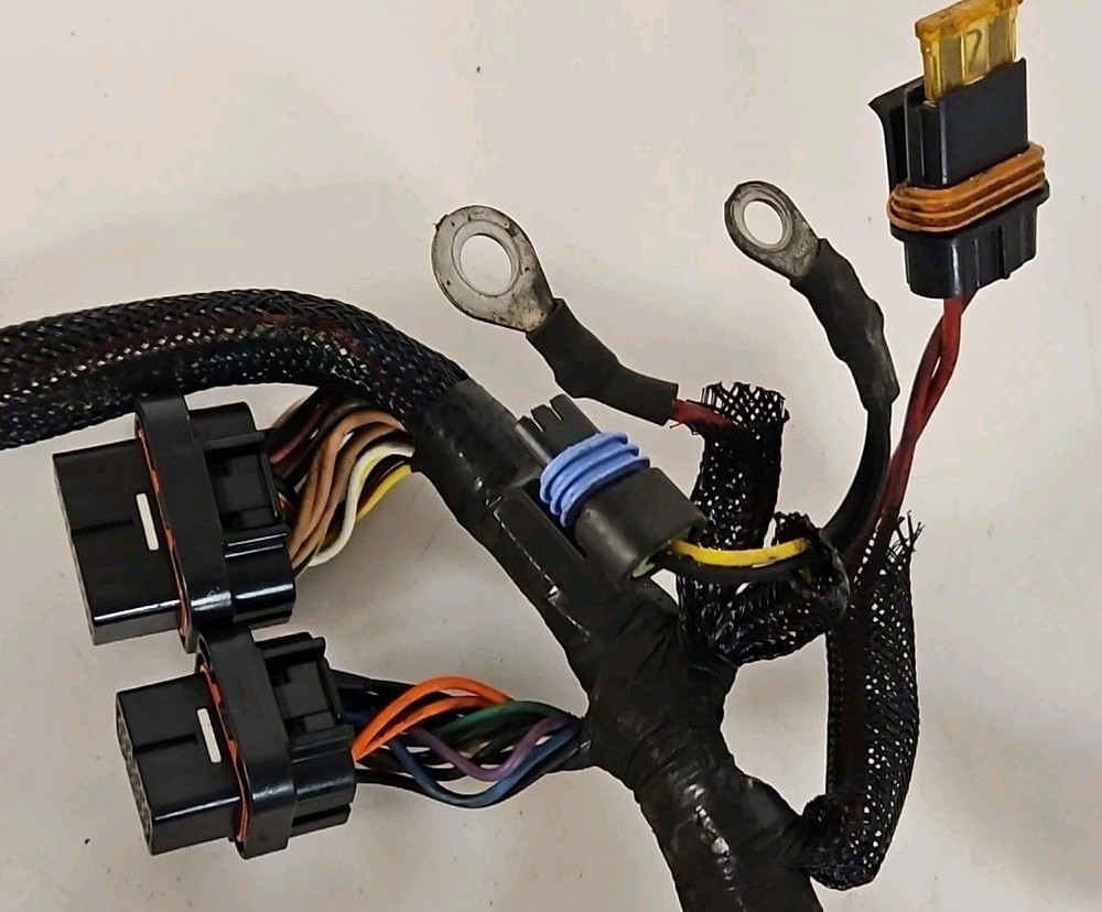 Evinrude 2 Stroke E-TEC Motor Cable Assembly 586863 586603