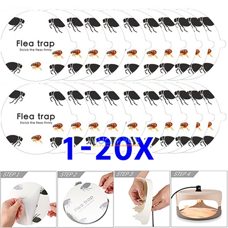 1-20 Flea Trap Sticker Bug Sticky Dome Flea Trap Refill Glue Discs Non Toxic