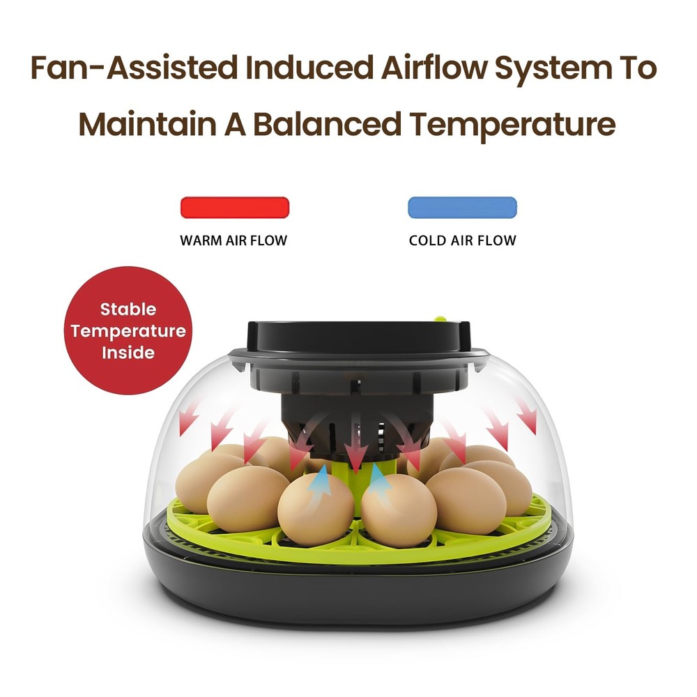 Incubators for Hatching Eggs 12 Egg Incubator with Automatic Egg Turning and ...