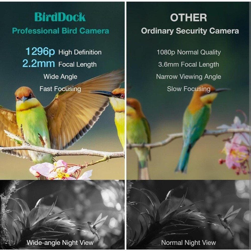 BirdDock Smart Solar Powered Bird Feeder with Camera (Reg.$210)