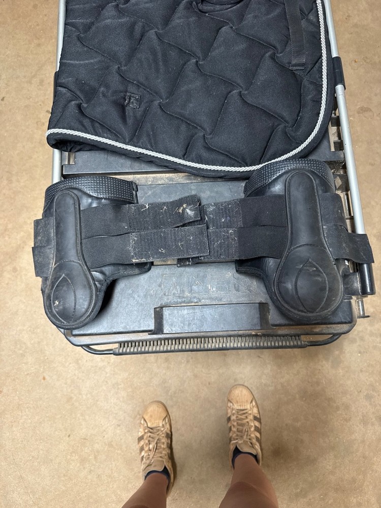 black horse boots size large