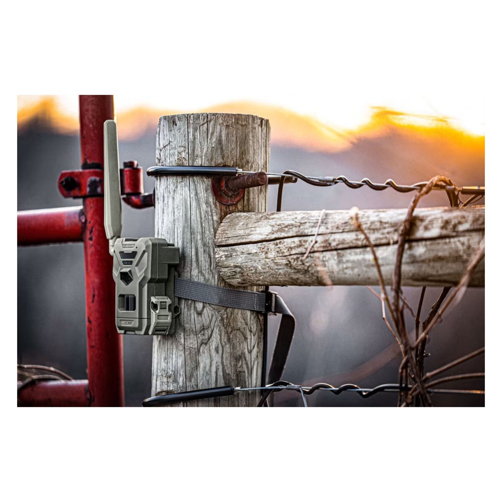SPYPOINT Flex-M Cellular Trail Camera (FLEX-M)