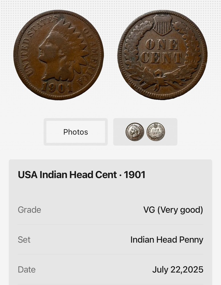 1901 Indian Head Cent ~ (VG) Very Good